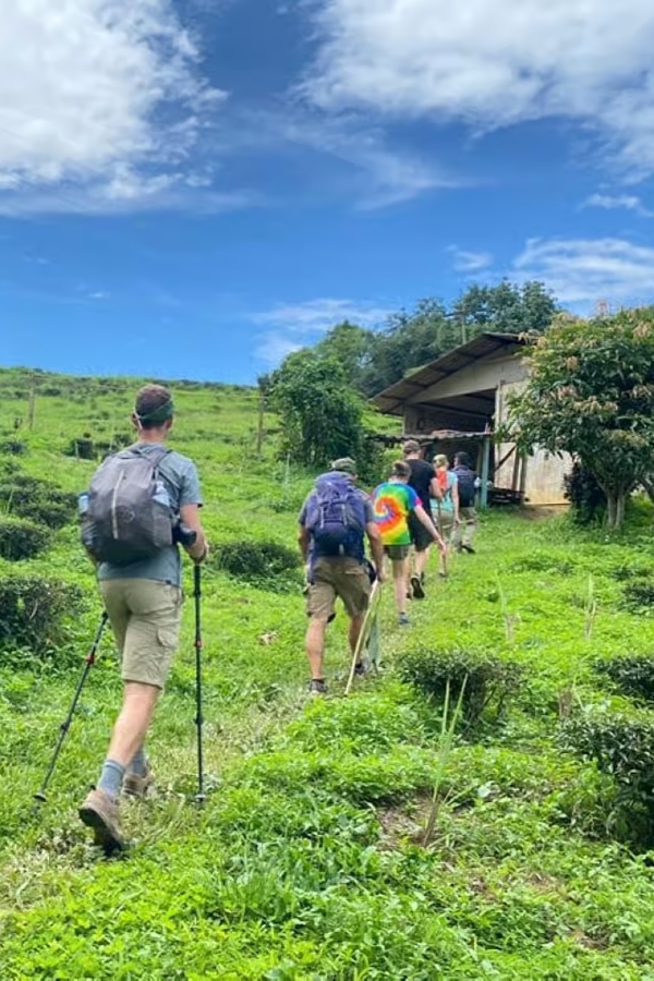 A description of my image.