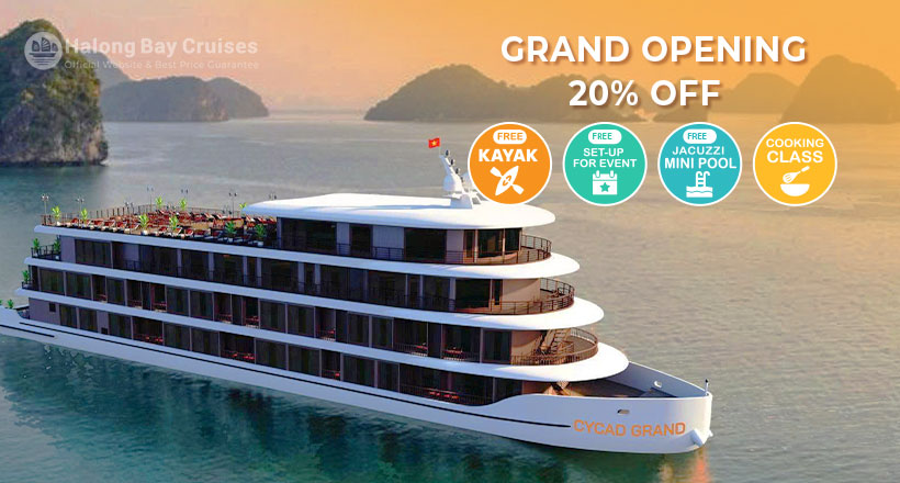 Cycad Grand Cruise