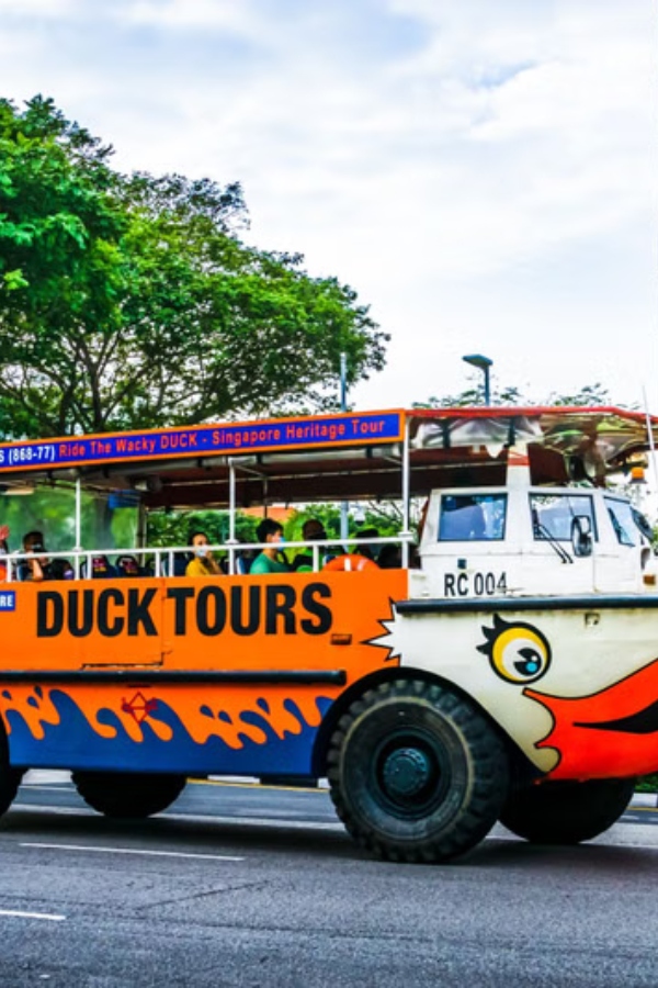 A description of my image.