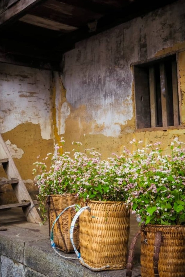 A description of my image.