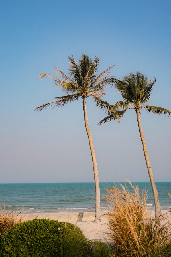 A description of my image.