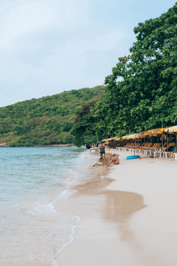 A description of my image.