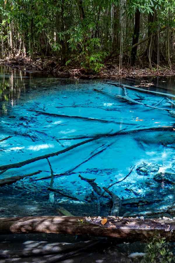 A description of my image.