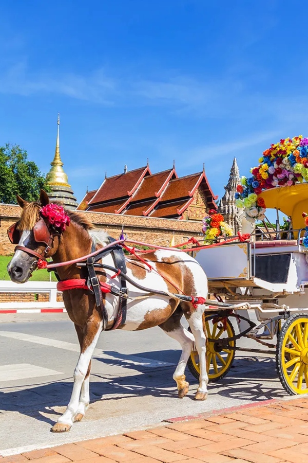 A description of my image.