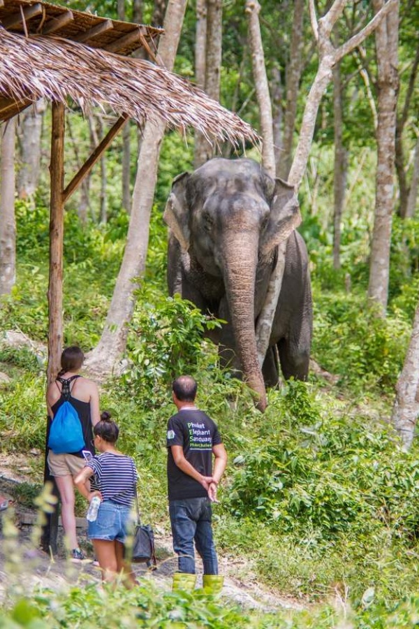 A description of my image.