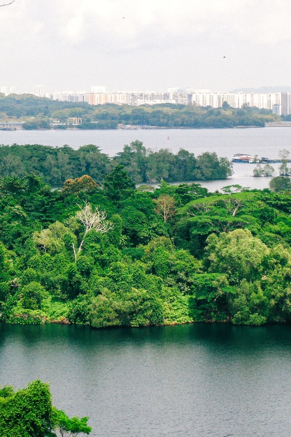 A description of my image.