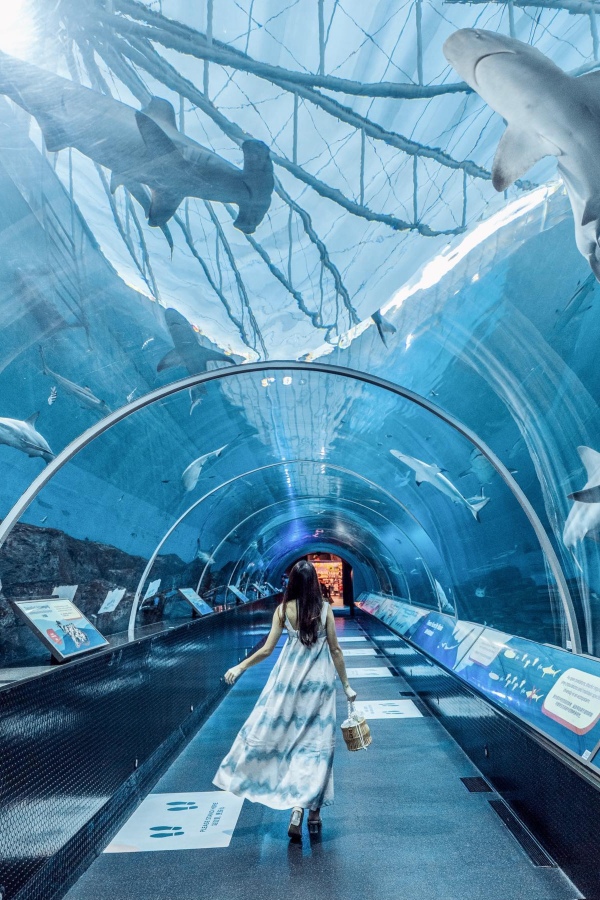 A description of my image.