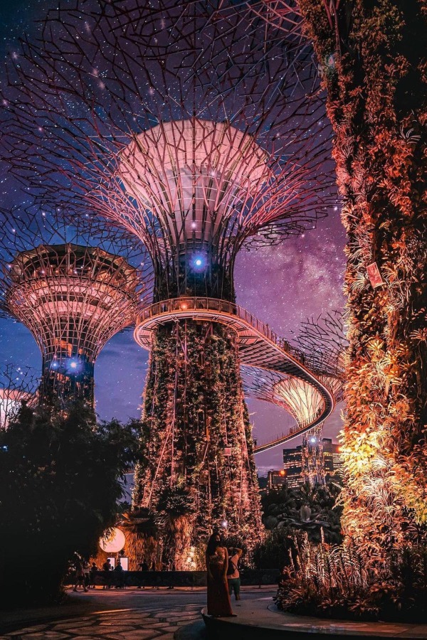 A description of my image.