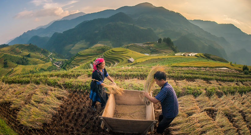 Colors of Vietnam
